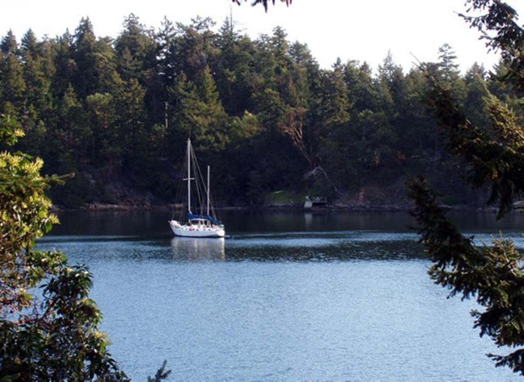 Long Harbour Arbutus Point Oceanfront B And B חדר תמונה